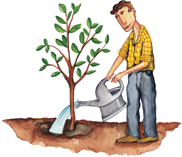 crear un grupo de consumo